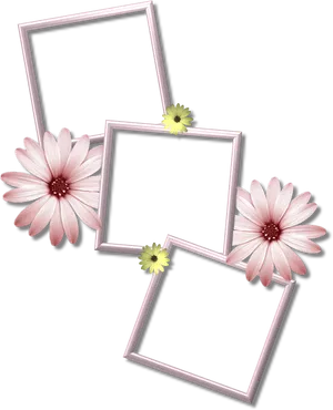 Floral Embellished Photo Frames PNG image