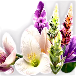"floral Embrace: Soft Flower PNG" B