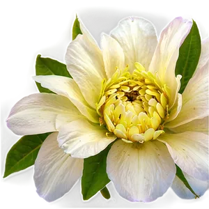 "floral Embrace: Soft Flower PNG" C