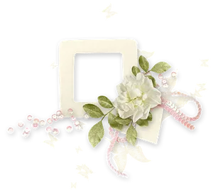 Floral Frame Black Background