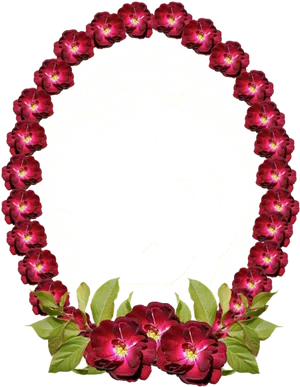 Floral Frame Black Background PNG image