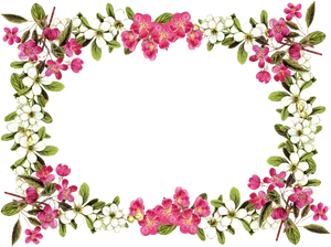 Floral Frame Border Design PNG image