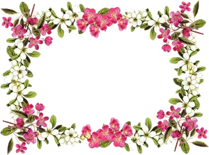 Floral_ Frame_ Border_ Design PNG image