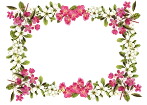 Floral_ Frame_on_ Black_ Background PNG image