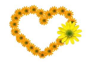 Floral Heart Designon Black Background.jpg