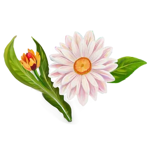 Floral Indie Bloom PNG 06252024 PNG