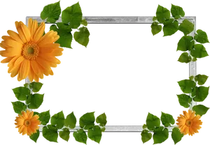 Floral Leaf Decorative Frame PNG image
