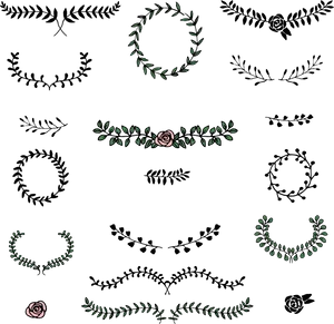 Floral_ Ornament_ Vector_ Collection PNG image