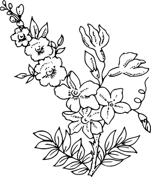 Floral Outline Artwork PNG