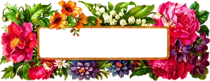 Floral Photo Frame Design PNG image