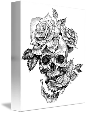 Floral Skull Artwork PNG image