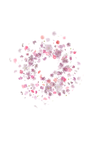 Floral_ Spiral_ Falling_ Petals PNG image