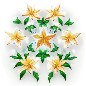 Floral Star Pattern PNG 06132024