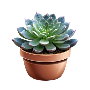 Floral Succulent Png Nni51 PNG image