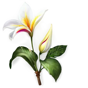 "floral Symphony: Exotic Flower PNG" B