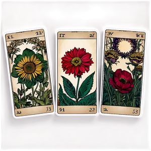 Floral Tarot Cards PNG Nwy