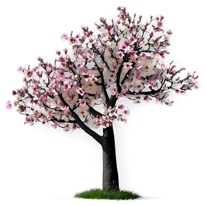 Floral Tree Top Blossom Png 51 PNG image