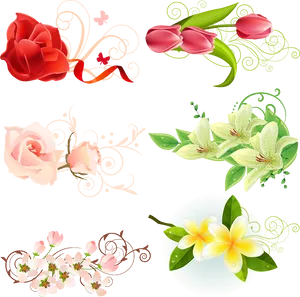 Floral_ Vector_ Collection.png PNG