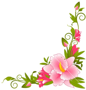 Floral Vector Corner Design PNG image