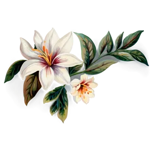 Floral Vintage Print PNG Rcm10 PNG