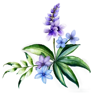 Floral Watercolor PNG 04292024