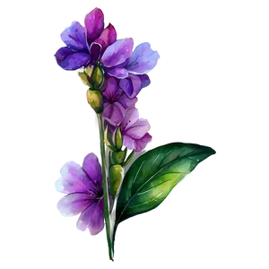 Floral Watercolor PNG 04292024