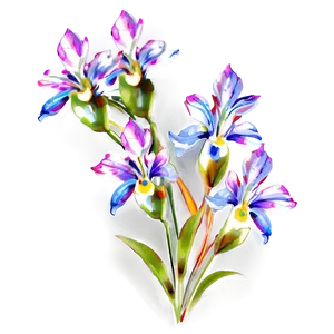 Floral Watercolor PNG 39