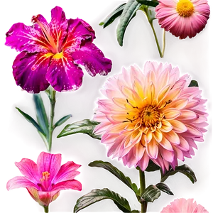 "floral Whispers: Soft-toned Flower PNG" A