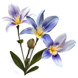 "floral Whispers: Soft-toned Flower PNG" D