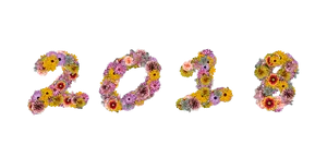 Floral2023 New Year Celebration PNG image