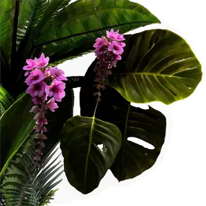 Flores Eden Discovery Png Ite PNG image