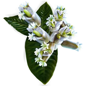 Flores Eden Discovery Png Tae24 PNG image