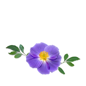 Flores Midday Bloom Png 41 PNG image