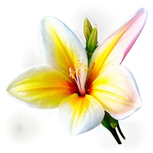 Flores Nectar Bliss Png Vhv PNG image