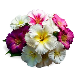Flores Petal Delight Png 05242024 PNG image