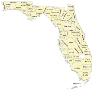 Florida Counties Map Yellow PNG image