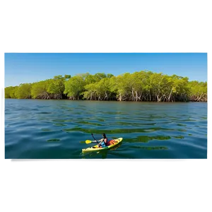 Florida Mangroves Kayaking Png 2 PNG image