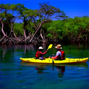 Florida Mangroves Kayaking Png 46 PNG image