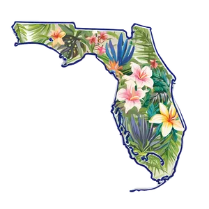 Florida Outline No Background Png 06122024 PNG image