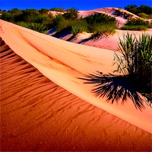 Florida Sand Dunes Landscape Png 48 PNG image