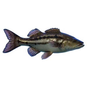 Florida State Aquatic Life PNG Smp