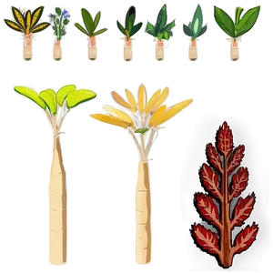 Florida State Native Plants PNG 25