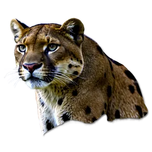 Florida State Panther Png 06212024 PNG image