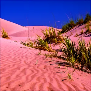 Florida State Sand Dunes PNG 06212024