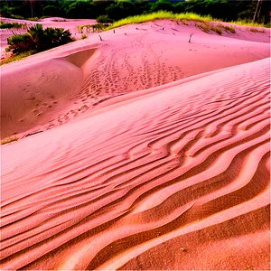 Florida State Sand Dunes PNG Ljl1 PNG