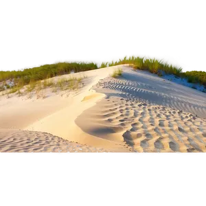 Florida State Sand Dunes PNG Qhd