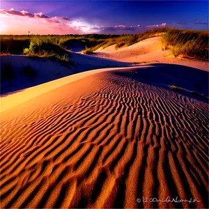 Florida State Sand Dunes PNG Ymv82