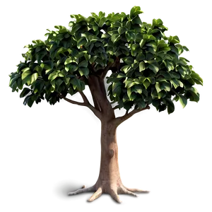 "flourishing Fig Tree PNG" 37