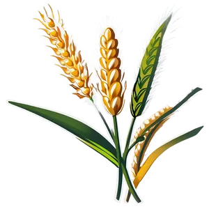 Flourishing Wheat Crop PNG Fsc PNG