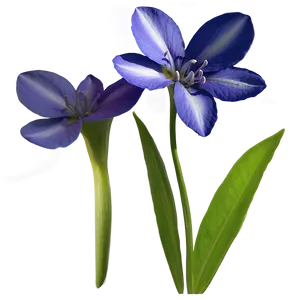 Flower B